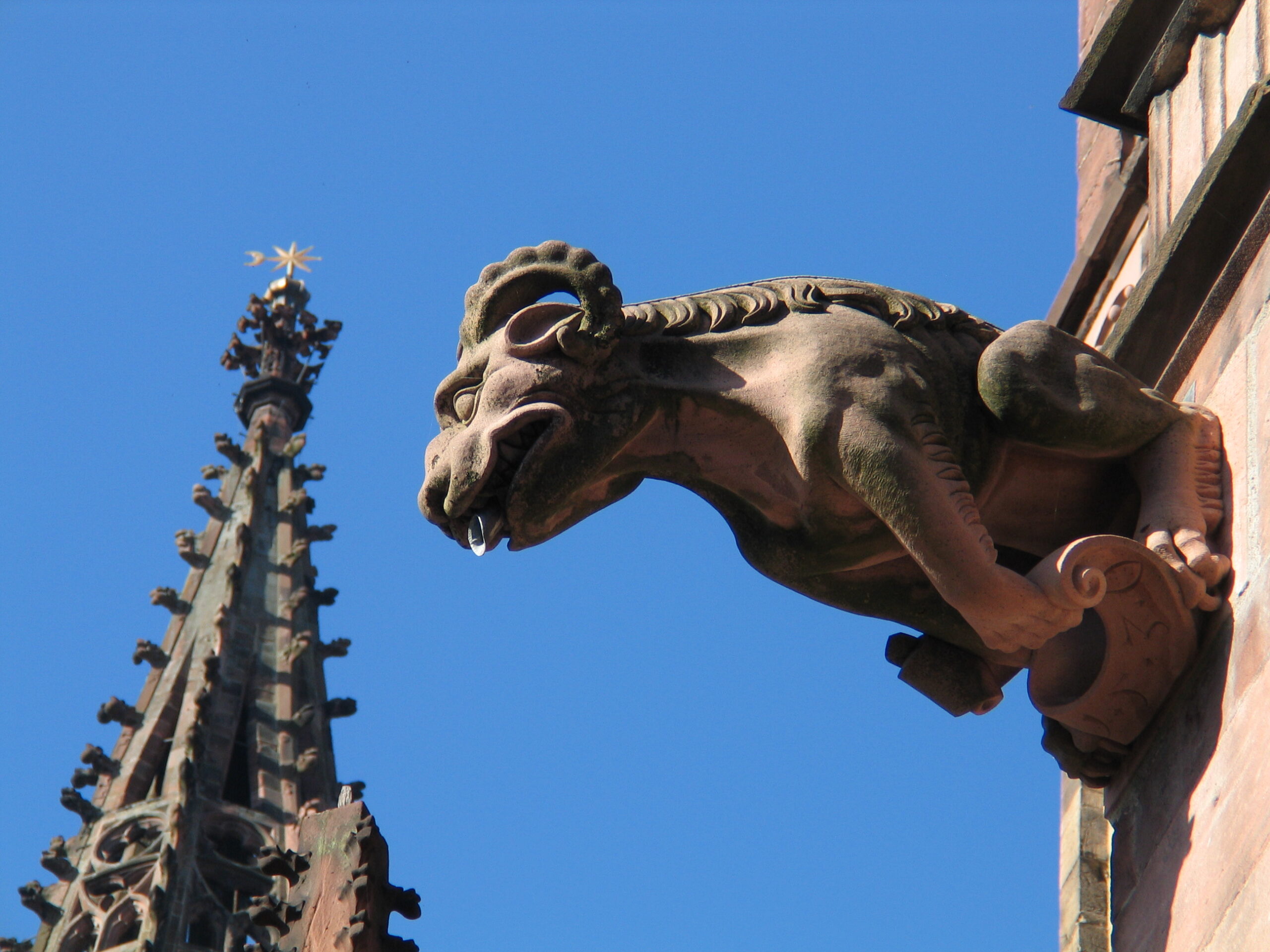22. Februar 2026: Benefizvortrag von Gundo Klebsattel über das Freiburger Münster